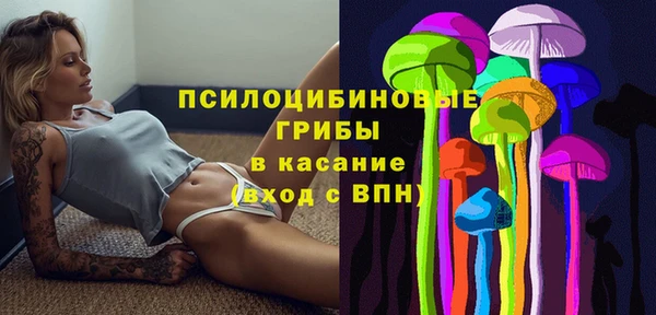 индика Рославль