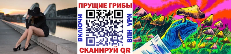 сколько стоит  Всеволожск  Галлюциногенные грибы ЛСД 