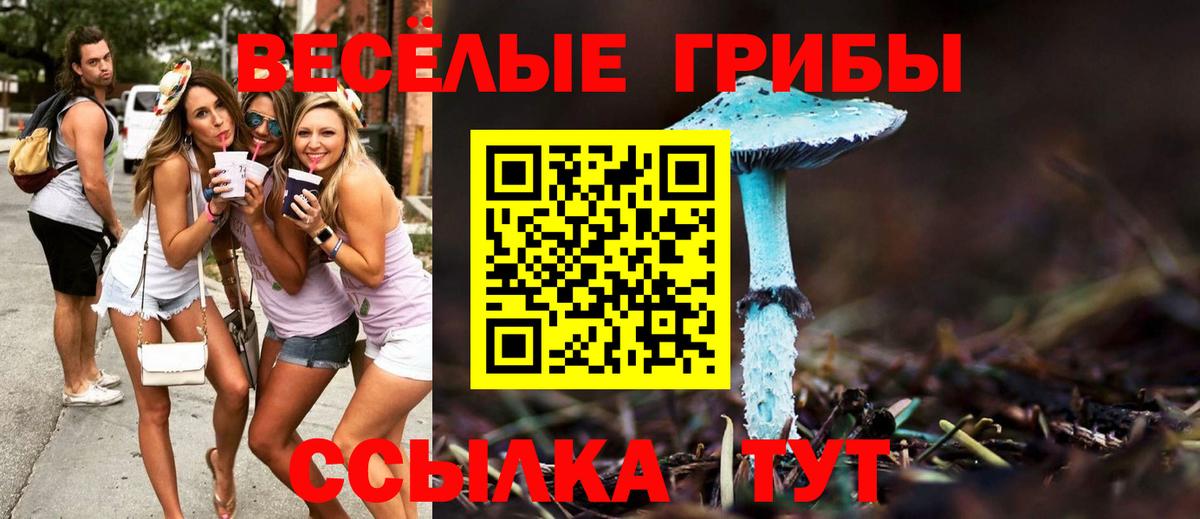 Псилоцибиновые грибы MAGIC MUSHROOMS  Вход с VPN  Всеволожск 